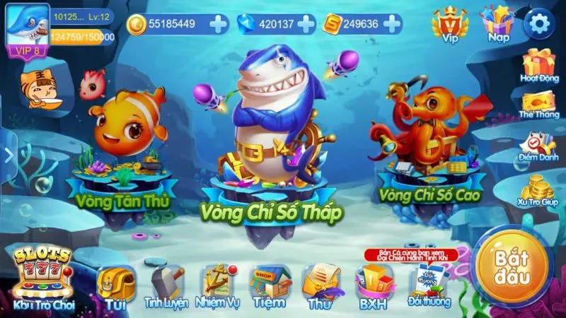 Nắm bắt thời điểm phù hợp để đánh bắt cá